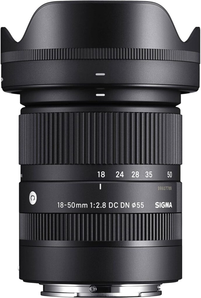 18-50 mm F2.8 DC DN Contemporâneo para Sony E Preto
